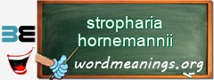 WordMeaning blackboard for stropharia hornemannii